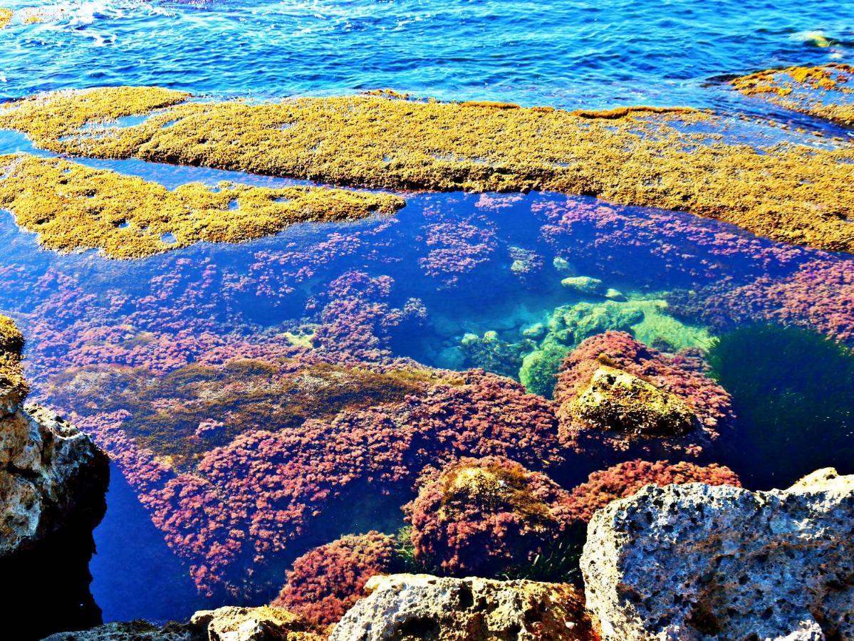 Anemone Della Scala Dei Turchi Apartment Realmonte Luaran gambar